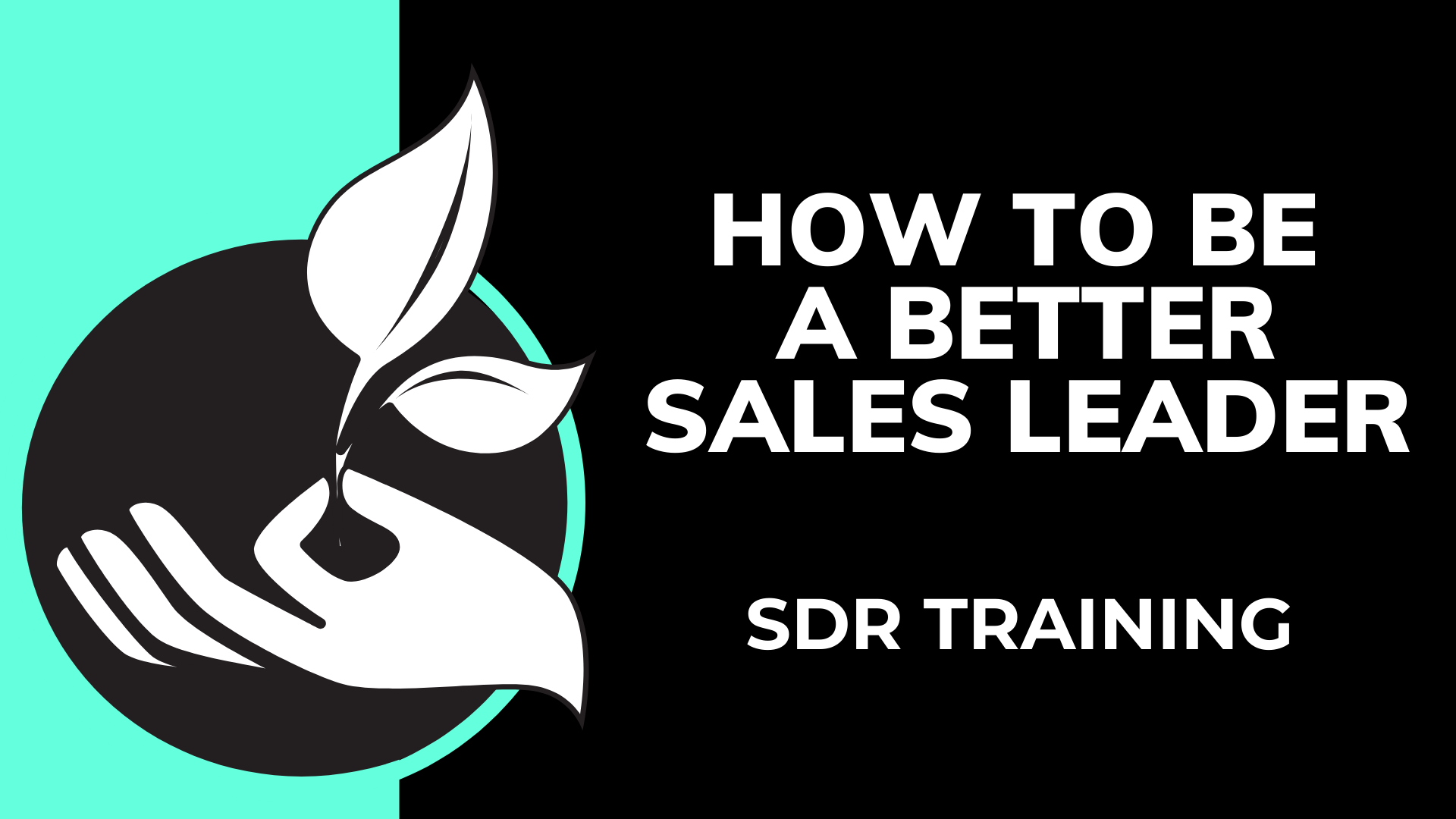 sdr-training-how-to-be-a-better-sales-leader