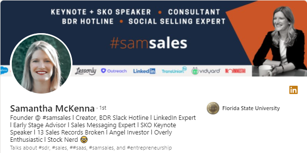 Linkedin snapshot profile of Samantha McKenna