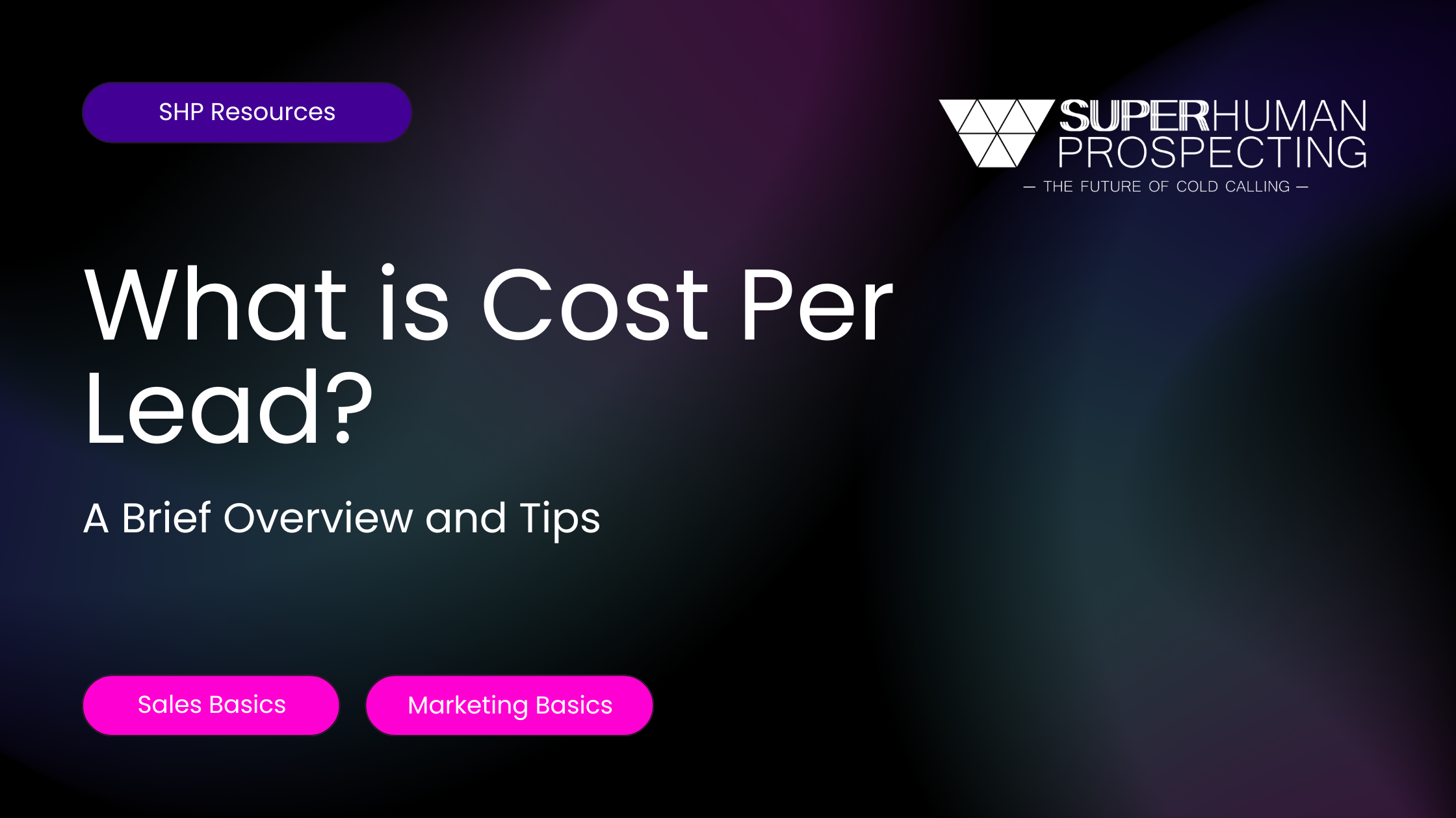 Infographic on Cost Per Lead, Sales and Marketing Basics